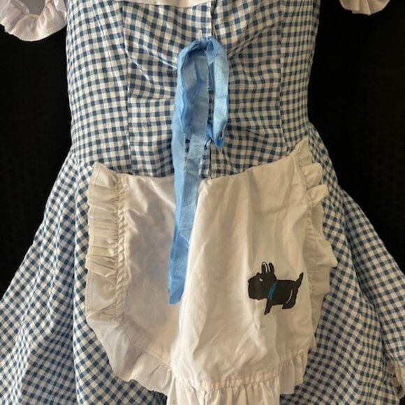 Wizard of Oz ~ Dorothy Halloween Costume ~ Cute - Picture 5 of 9